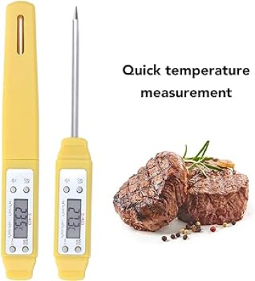 Pen Type Thermometer Calibration Services in Ahmedabad